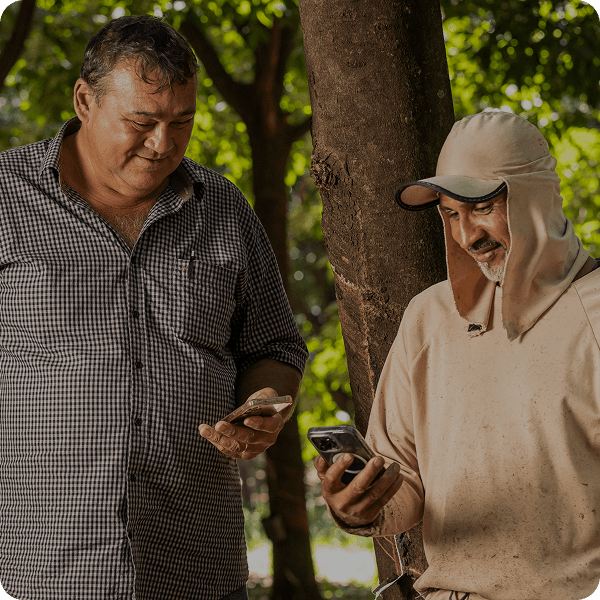 Produtor e sangrador